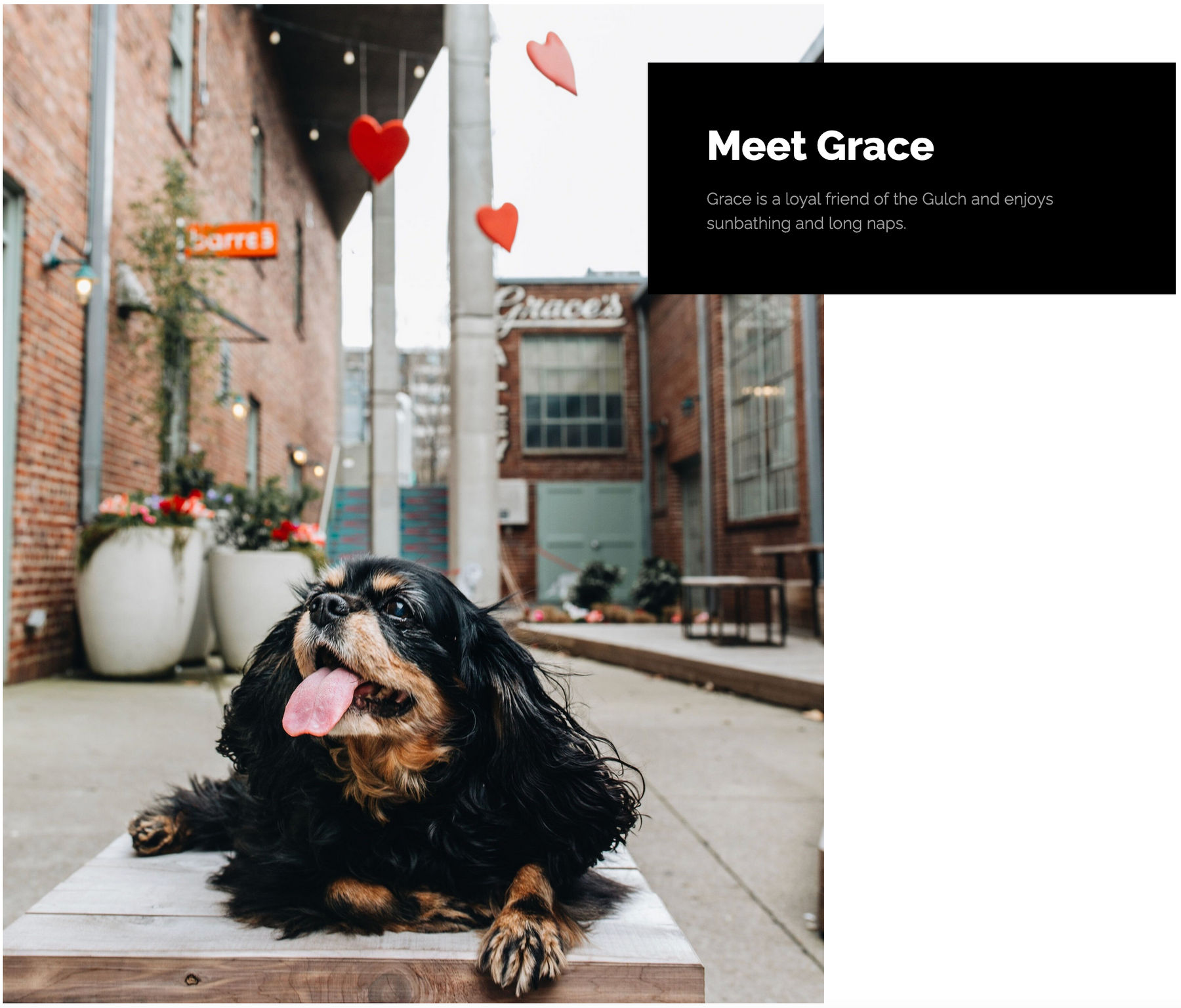 Meet Grace